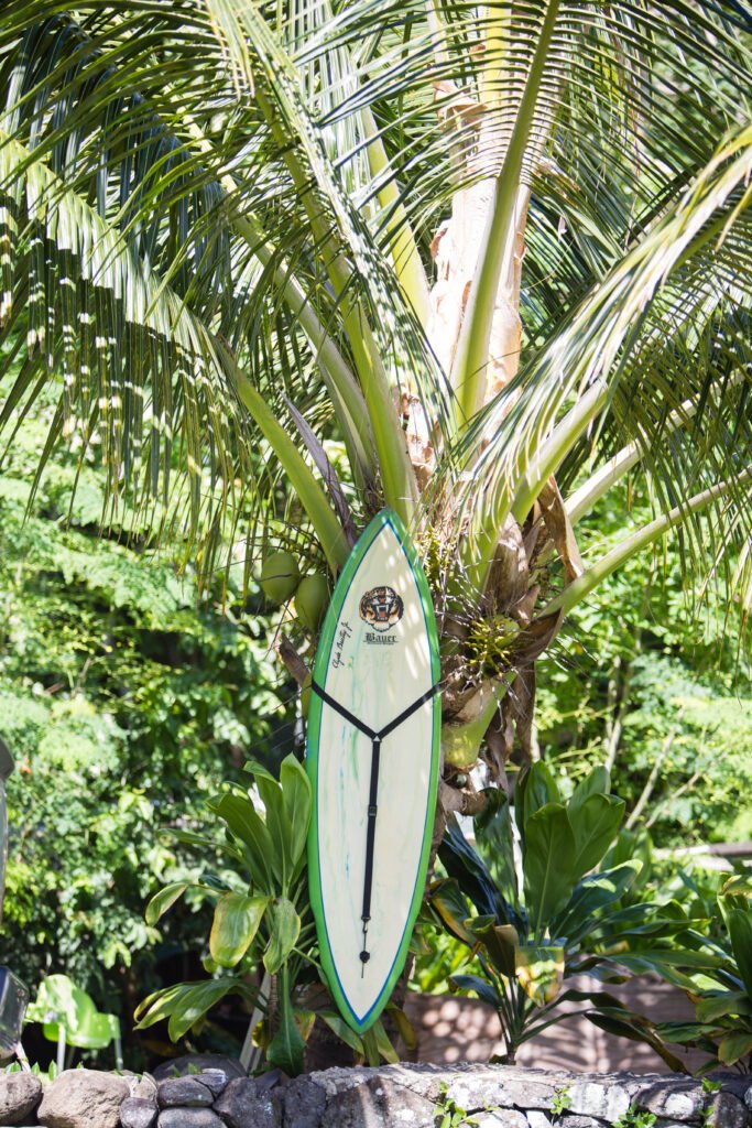 IMG_6263 Surfboard Hanger on a nail in a coconut tree