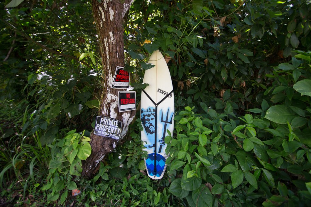 Mount almost ANYWHERE! Hanging in a Mango Tree
