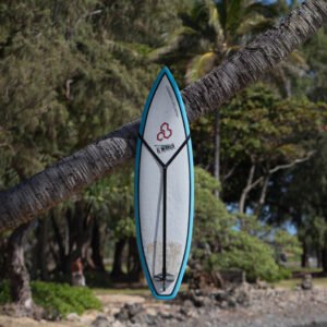 Surfboard Hanger Colors